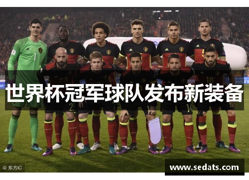 世界杯冠军球队发布新装备